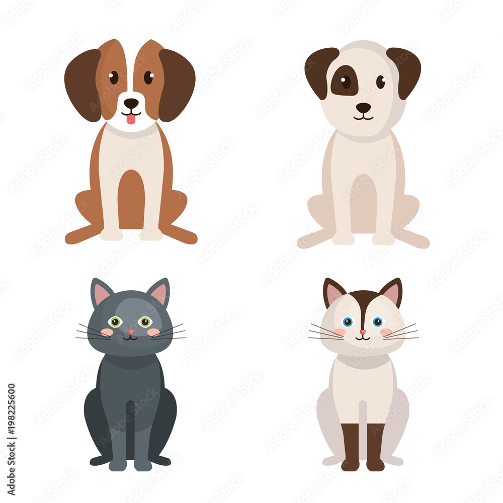 Fototapeta premium group of cute pets vector illustration design