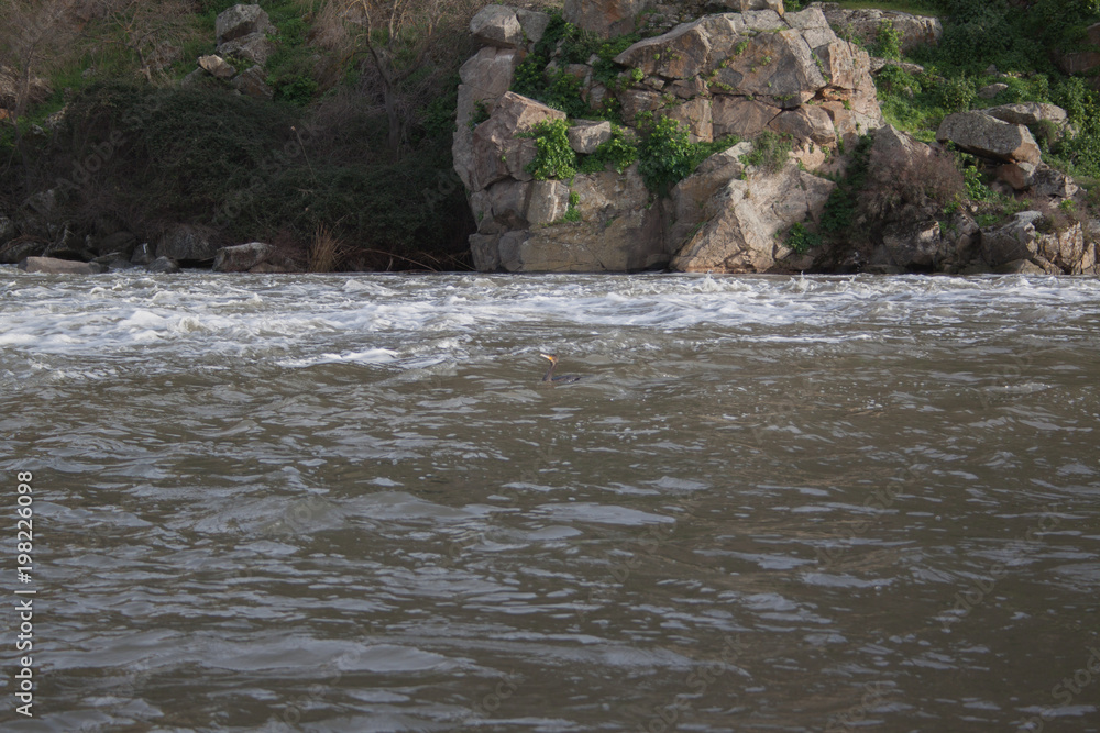 River of Toledo River of Toledo