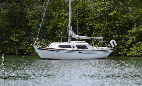 Small sailboat anchored by natural shoreline with trees and foliage.