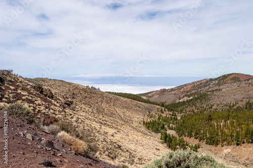 View of a hill in Teide Park on the island of Tenerife in Spain
