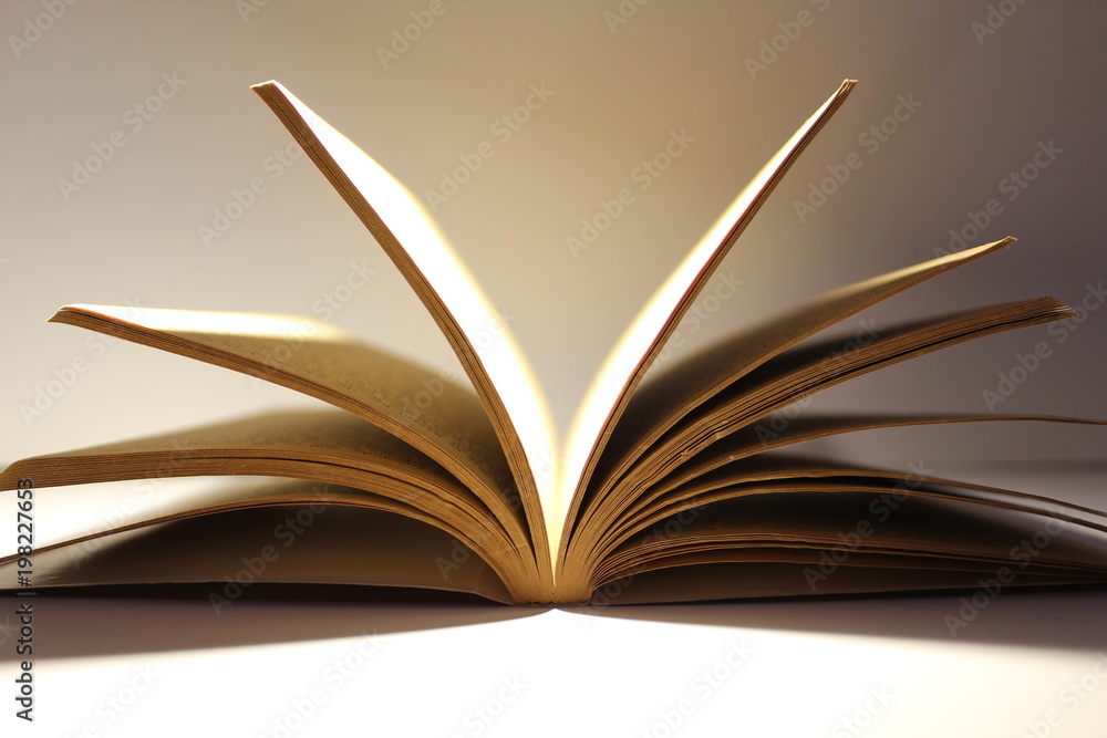 Fototapeta premium Offenes Buch