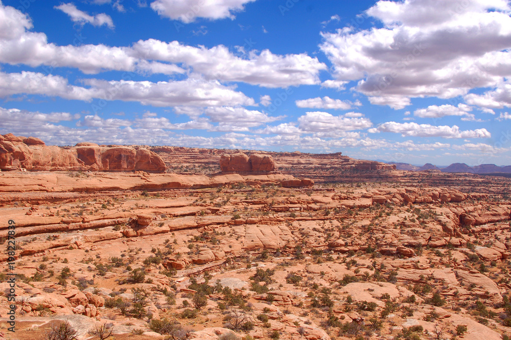 Vista of canyons, red rock cliffs and sky in Bears Ears Wilderness of Southern Utah