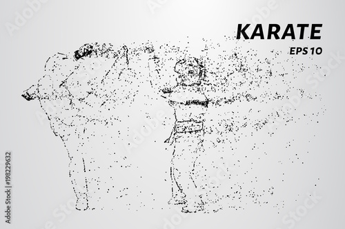 Karate of particles. Karate consists of small circles.