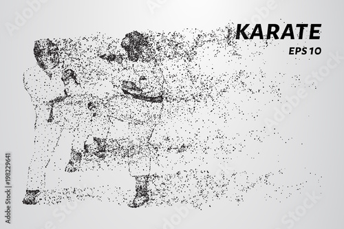 Karate of particles. Karate consists of small circles.