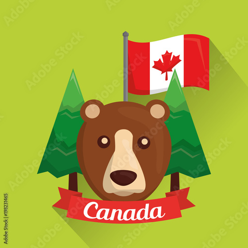 canadian grizzly bear pine trees and flag vector illustration