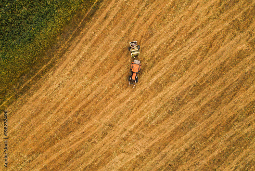 Obraz premium Aerial view of tractor making hay bale rolls in field
