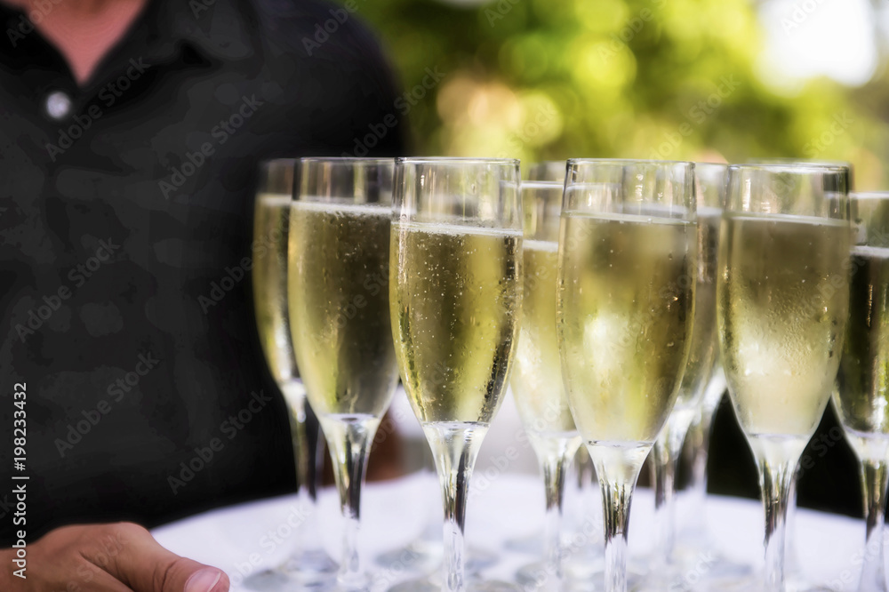 Champagne Glasses Champagne Glasses