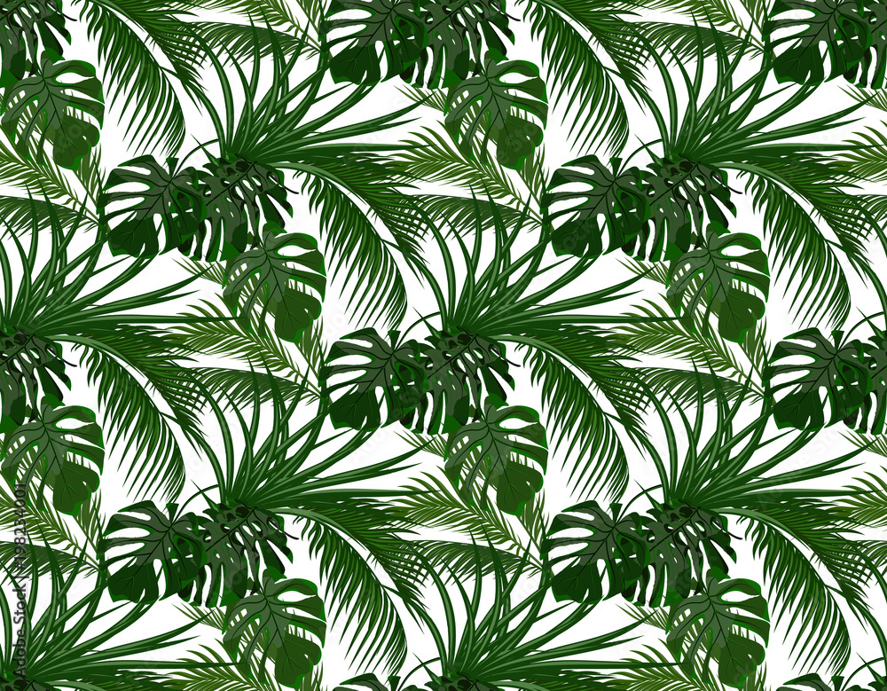 Jungle. Green leaves of tropical palm trees, monstera, agave. Seamless. Isolated on white background. illustration