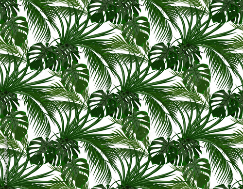 Jungle. Green leaves of tropical palm trees  monstera  agave. Seamless. Isolated on white background. illustration