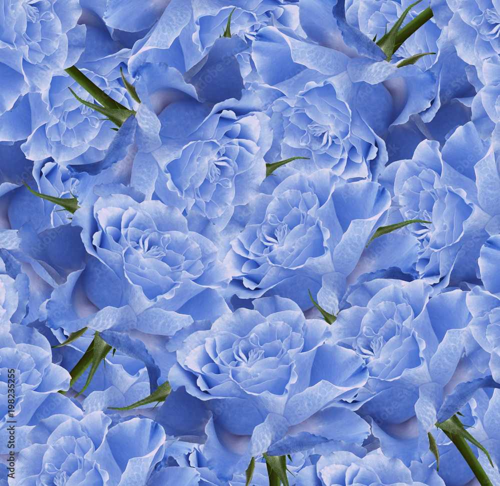 Floral blue-white beautiful background. Flower composition. Bouquet of  flowers from light blue roses. Close-up. Nature. Stock Photo | Adobe Stock