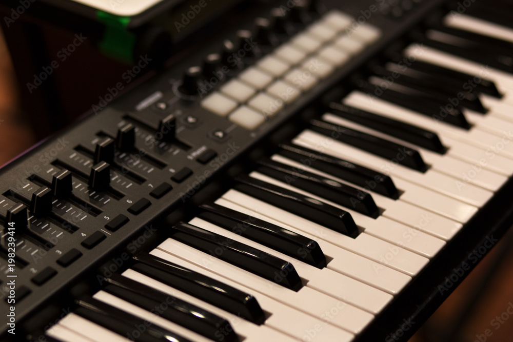 Naklejka premium White and black keys of an electric organ