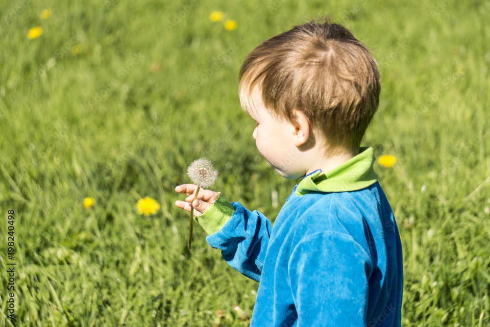 cute boy in the park, blowing on dandelion in summer time cute boy in the park, blowing on dandelion in summer time