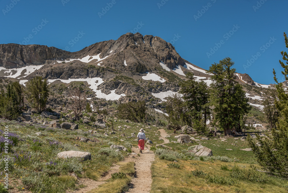 Hiker on trail at Carson Pass, California
