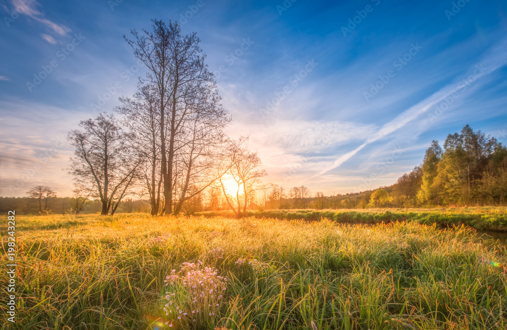 Natural scenery landscape on meadow on bright sunrise on spring morning. Spring grass, trees and blue sky over horizon. Rural scene outdoor nature background. Summer field with vivid sun on dawn. Natural scenery landscape on meadow on bright sunrise on spring morning. Spring grass, trees and blue sky over horizon. Rural scene outdoor nature background. Summer field with vivid sun on dawn.