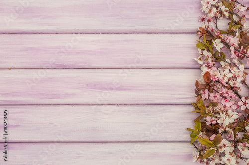 Pink art Spring wooden background with pink blossom.