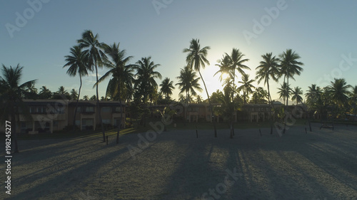 LENS FLARE: Morning sun rays peer through palm trees down on luxury beach resort