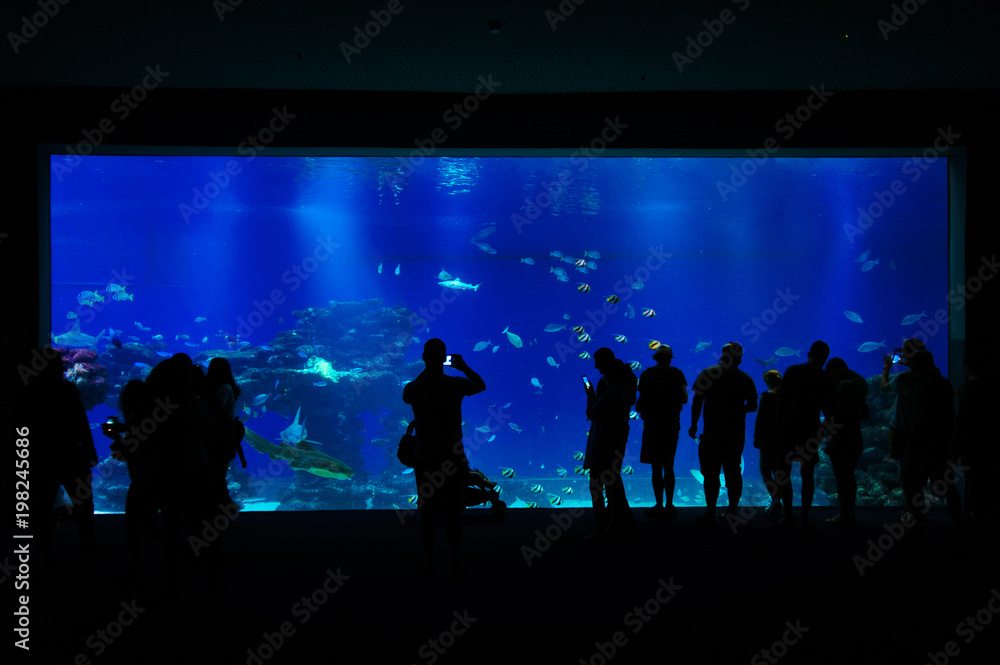 People stand near a large aquarium