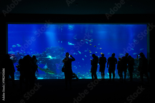 People stand near a large aquarium
