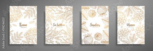 Gold collection of cards design with berries. Vintage gold frame with ripe berries illustrations - rowan, sea buckthorn, strawberry, viburnum. Great design for natural and organic products.