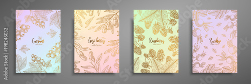 Gold colorful collection of cards design with berries. Vintage gold frame with berries illustrations - currant, goji berries, raspberry, rosehip. Great design for natural and organic products.