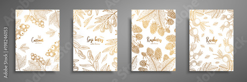 Gold collection of cards design with berries. Vintage gold frame with ripe berries illustrations - currant, goji berries, raspberry, rosehip. Great design for natural and organic products.
