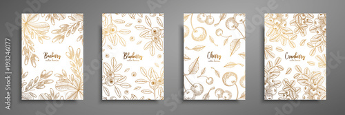 Gold collection of cards design with berries. Vintage gold frame with ripe berries illustrations - barberry, bluberry, cherry, cranberry. Great design for natural and organic products.