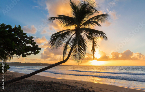 The sunset on Martinique island, French West Indies.