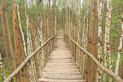 A small bridge of real birch trees. Art Park Nikola Lenivets, Russia, Kaluga Region photo