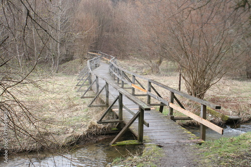 Holzbrücke im Wald photo