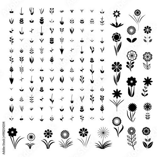 The designer of flowers. A set of simple elements, a large set of simple elements of leaves and flowers branches on a white background. Stylized summer or spring flowers, floral design elements