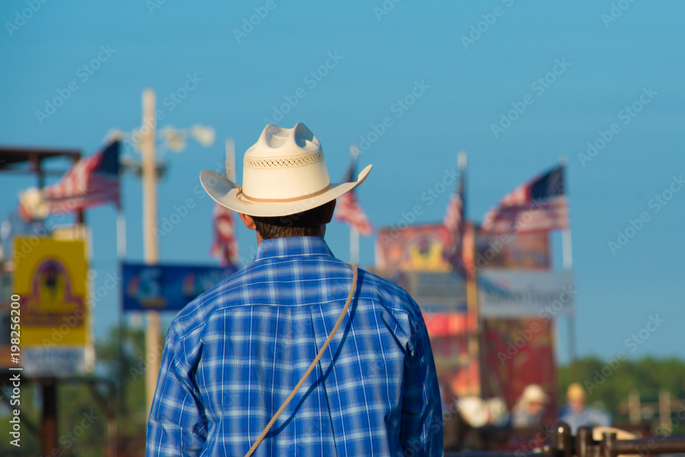 cowboy at the rodeo