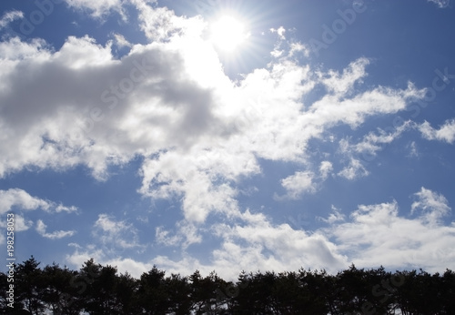 冬　木　空　雲　太陽　素材 © KSSM tomo
