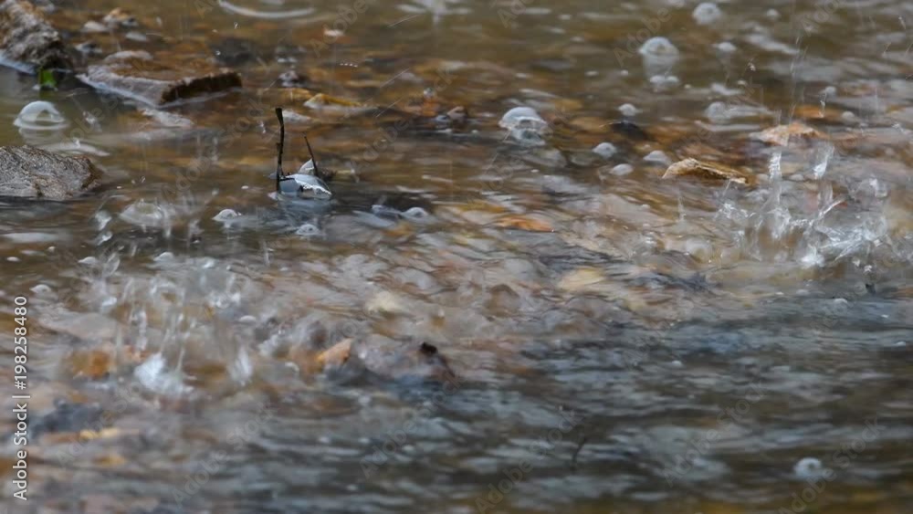 Close up of puddle while it's raining
