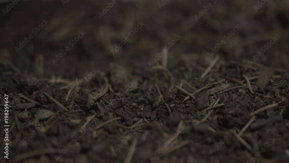 A super slow motion shot of coins falling onto the ground dirt and dust. Shot of an Easter short film A super slow motion shot of coins falling onto the ground dirt and dust. Shot of an Easter short film