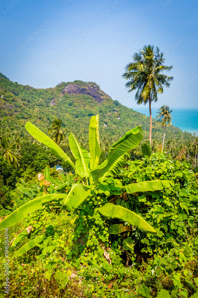 Vietnam Vietnam