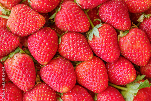 freshly ripe strawberries background