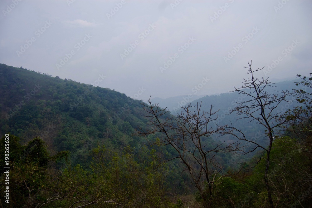 Magnificent valley view in Kerala (rural India): Landscape with idyllic unspoilt nature, trees forming a lush green jungle and a foggy sky creating a tranquil scenery Magnificent valley view in Kerala (rural India): Landscape with idyllic unspoilt nature, trees forming a lush green jungle and a foggy sky creating a tranquil scenery