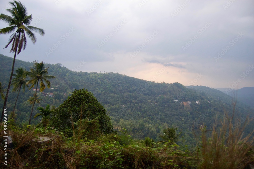 Magnificent valley view in Kerala (rural India): Landscape with idyllic unspoilt nature, trees forming a lush green jungle and a foggy sky creating a tranquil scenery