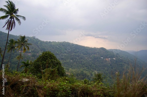 Magnificent valley view in Kerala (rural India): Landscape with idyllic unspoilt nature, trees forming a lush green jungle and a foggy sky creating a tranquil scenery
