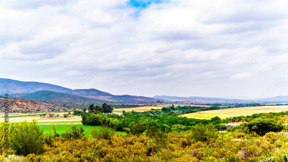 View of the Olifantsrivier valley along highway 62 between the towns of De Rust and Oudtshoorn in the Little Karoo region of the Western Cape Province of South Africa