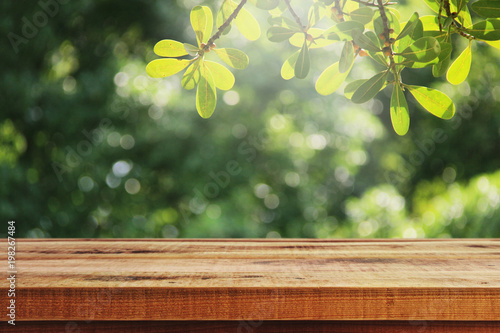 Wooden table and blur green forest background.