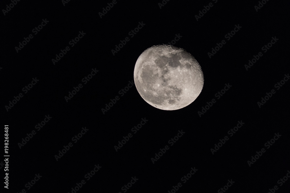 The Moon The Moon