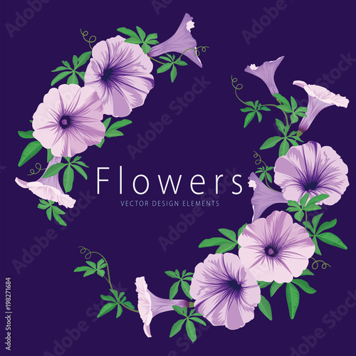 Floral frame with morning glory flowers and leaf on blue background. Vector set of blooming floral for wedding invitations and greeting card design.