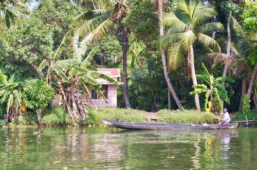 Panorama of the backwaters in rural Kerala  India  with palm trees  untouched nature  small houses   a fishing boat on the waterway leading to Kochi   Alleppey on a sunny summer day with a clear sky