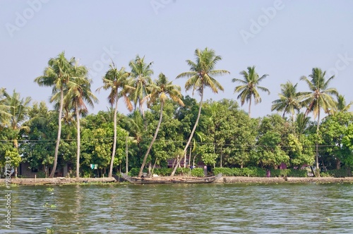 Panorama of the backwaters in rural Kerala  India  with palm trees  untouched nature  small houses   fishing boats on the waterway leading to Kochi   Alleppey on a sunny summer day with a clear sky