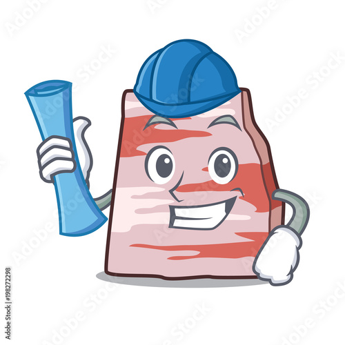 Architect pork lard character cartoon