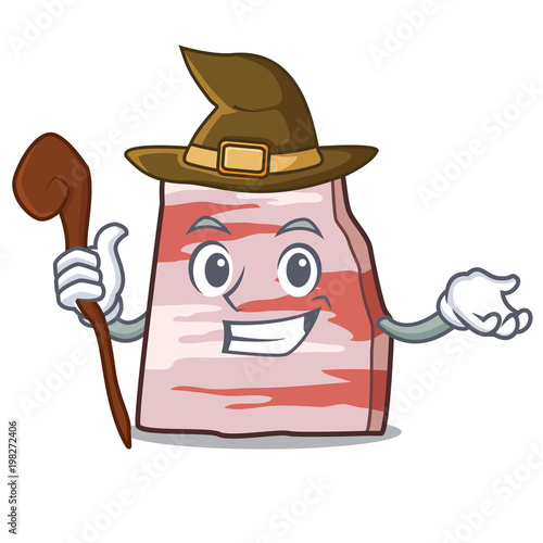 Witch pork lard mascot cartoon