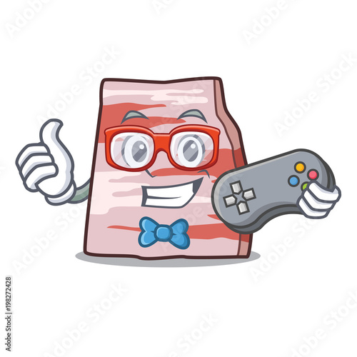 Gamer pork lard mascot cartoon