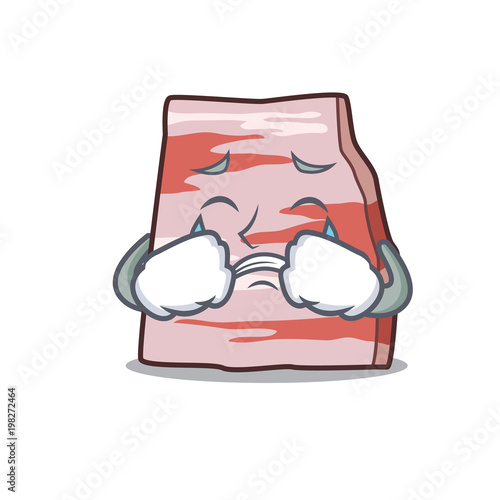 Crying pork lard mascot cartoon