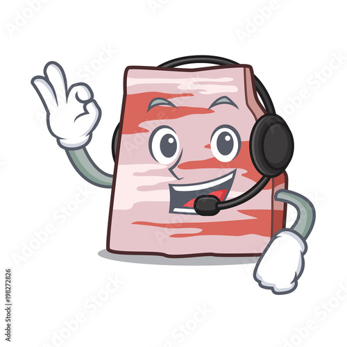 With headphone pork lard mascot cartoon